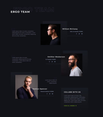 ergo-section-team